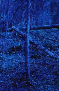 Blå Skog/ Blue Forest Morten Andersen