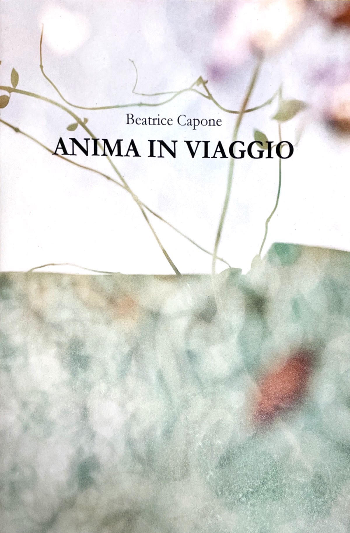 Anima In Viaggio  Beatrice Capone