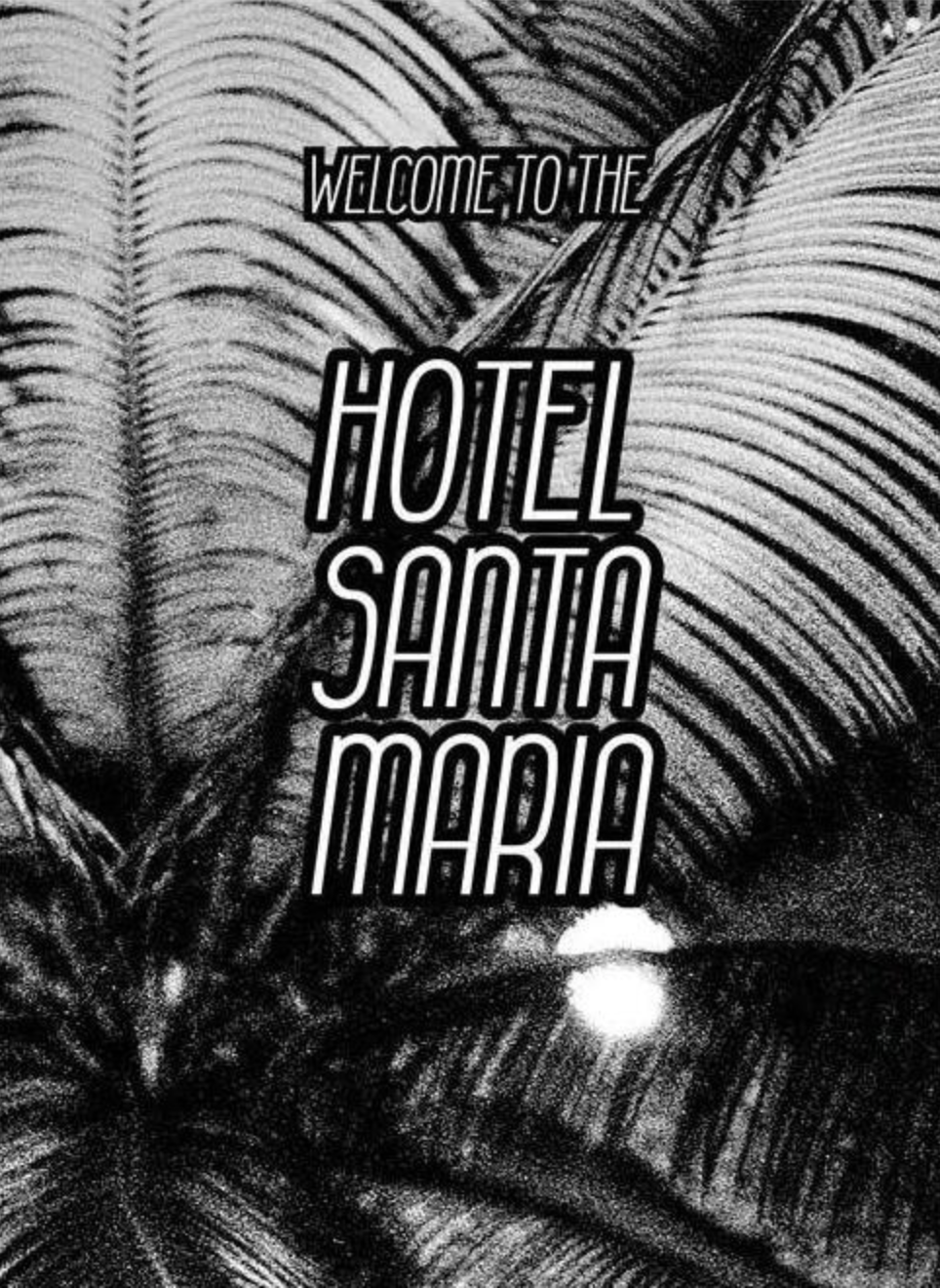 Welcome to the Hotel Santa Maria  Lewis Bush