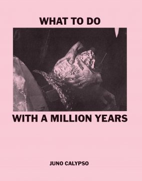 What To Do With A Million Years  Juno Calypso