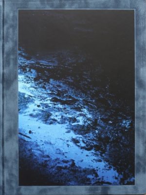 Blue Mud Swamp, Filipe Casaca
