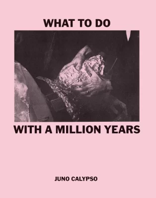 What To Do With A Million Years, Juno Calypso