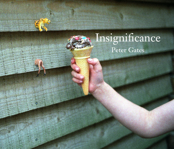 Insignificance  Peter Gates