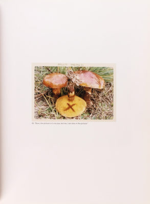 The Mushroom Collector, Jason Fulford