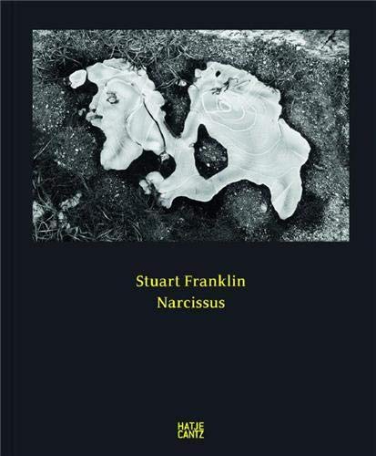 Narcissus  Stuart Franklin