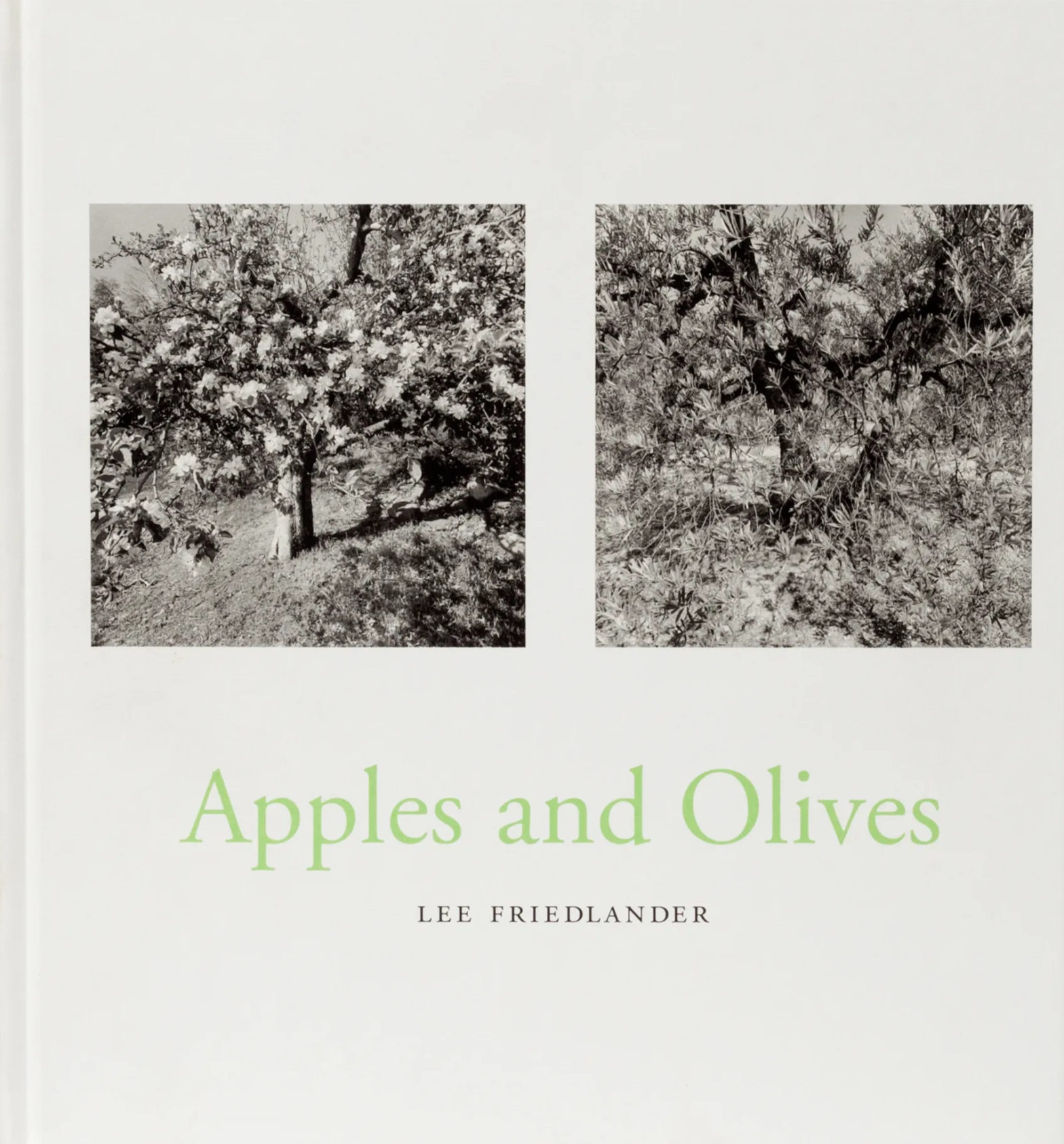 Apples and Olives  Lee Friedlander