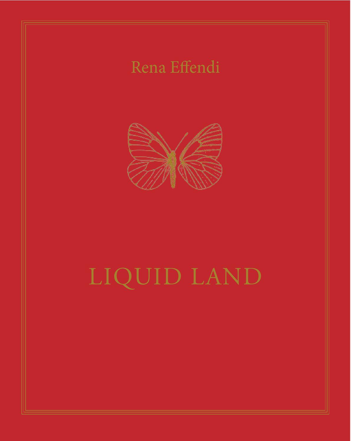 Liquid Land  Rena Effendi