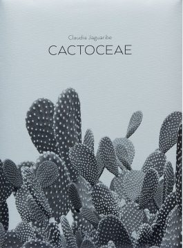 Cactoceae  Claudia Jaguaribe