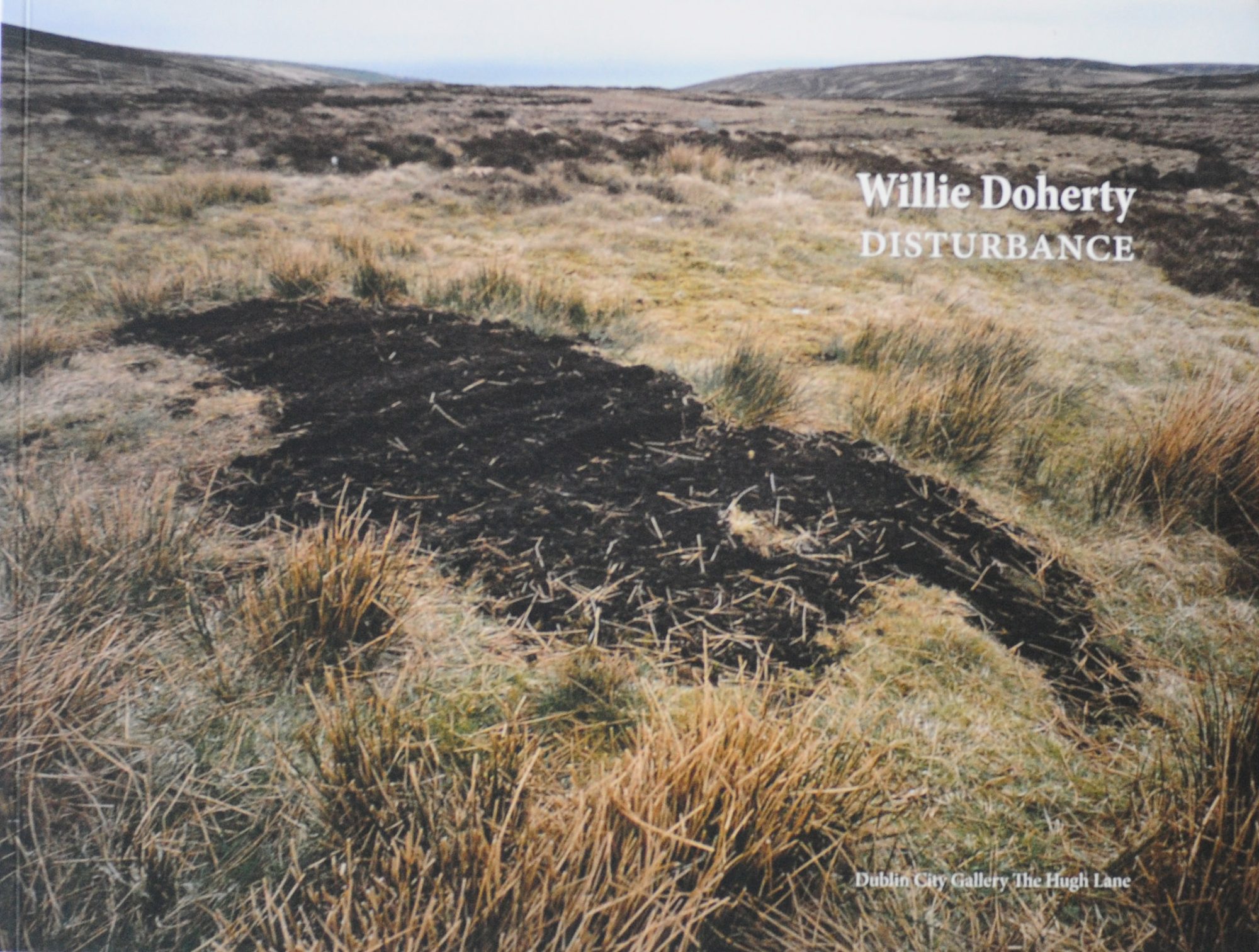 Disturbance, Willie Doherty
