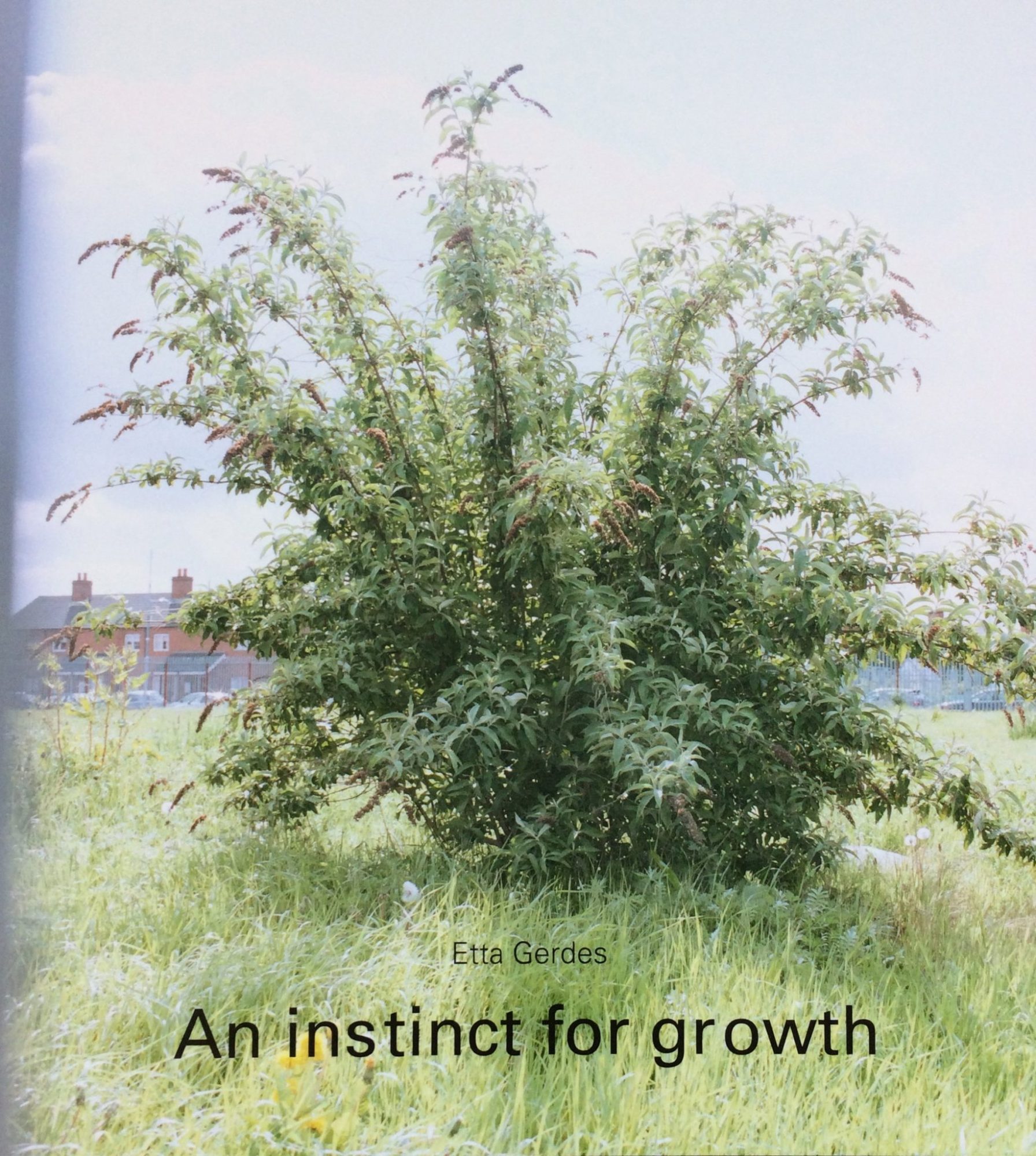 An instinct for growth, Etta Gerdes