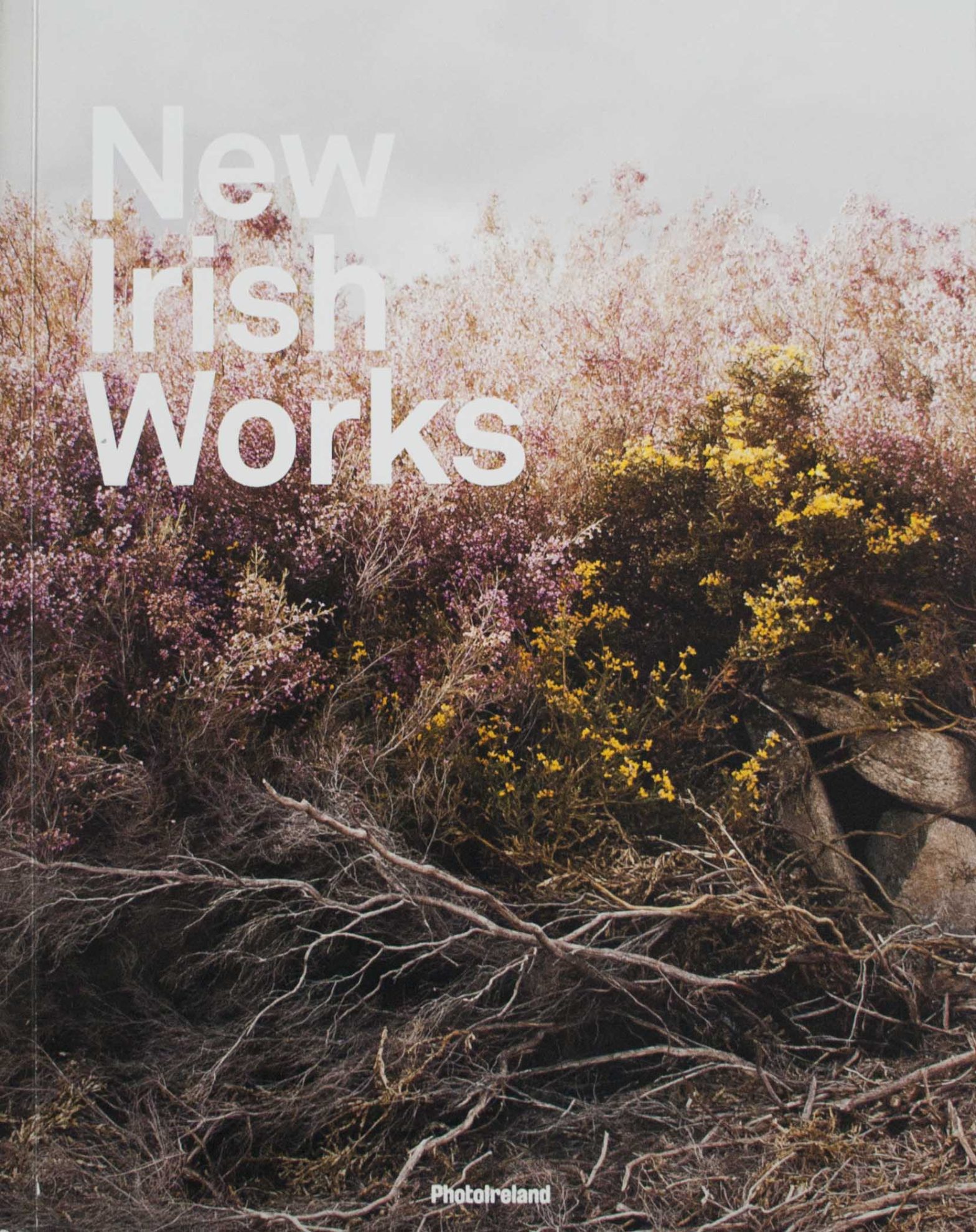 New Irish Works Various Artists