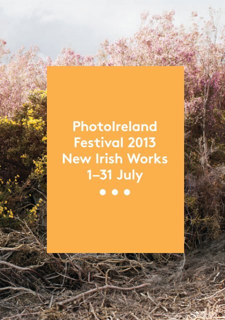 PhotoIreland Festival 2013: New Irish Works PhotoIreland
