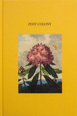 Post Colony, Gareth Kennedy