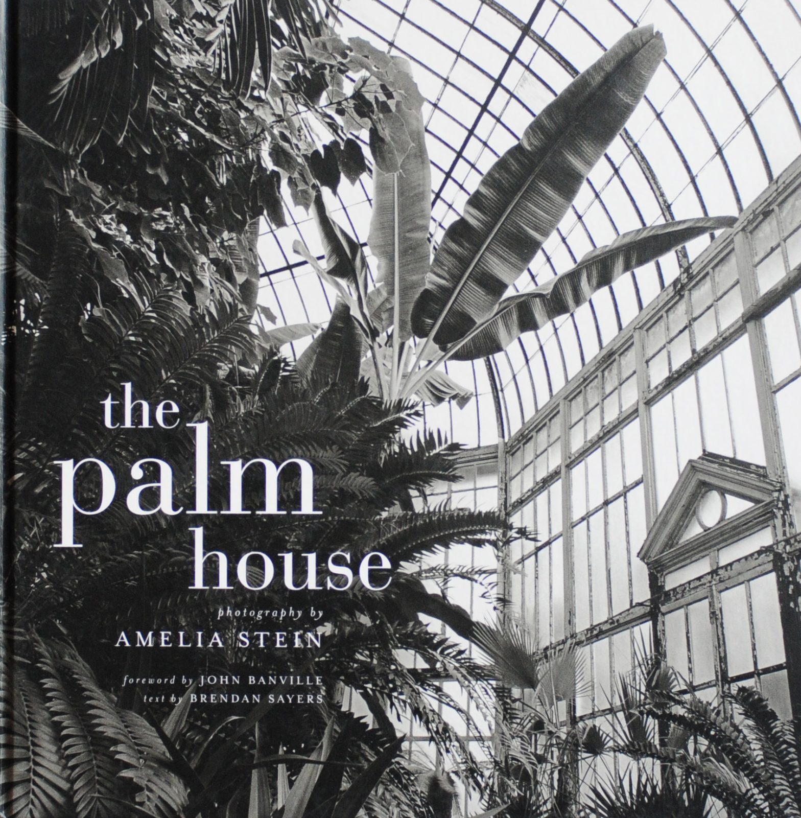 The Palm House, Amelia Stein