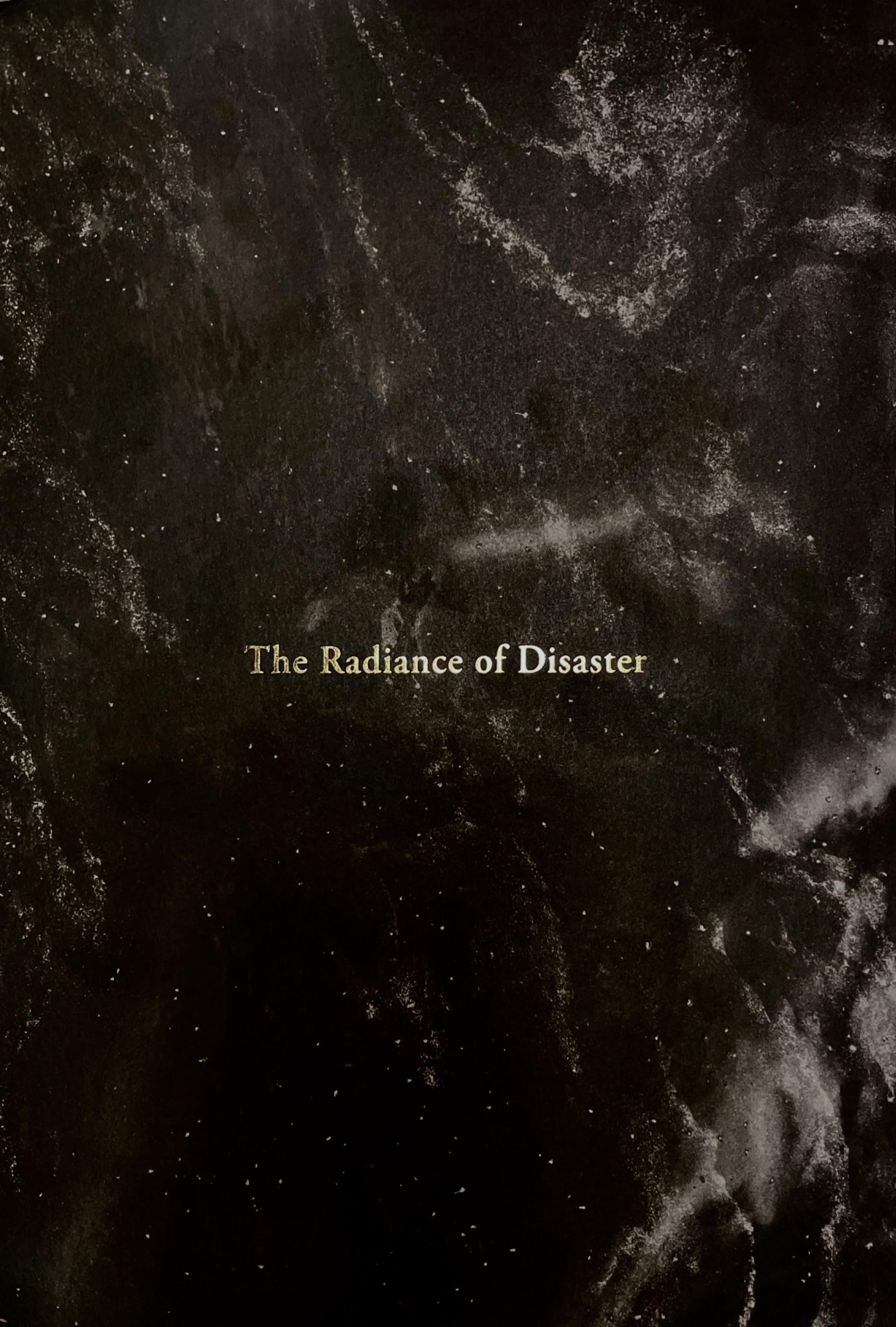 The Radiance of Disaster, Stephanie Montes
