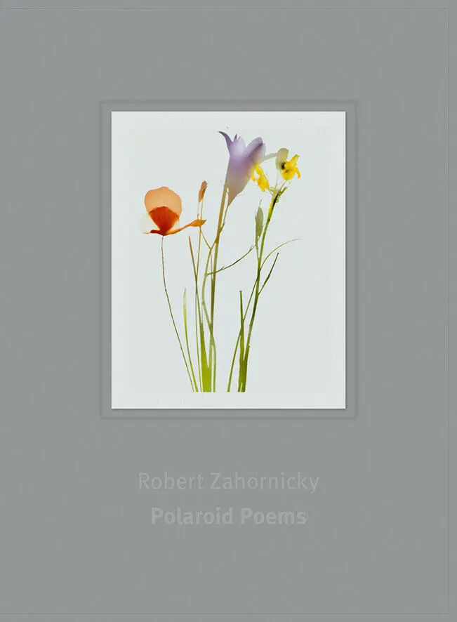 Polaroid Poems Robert Zahornicky
