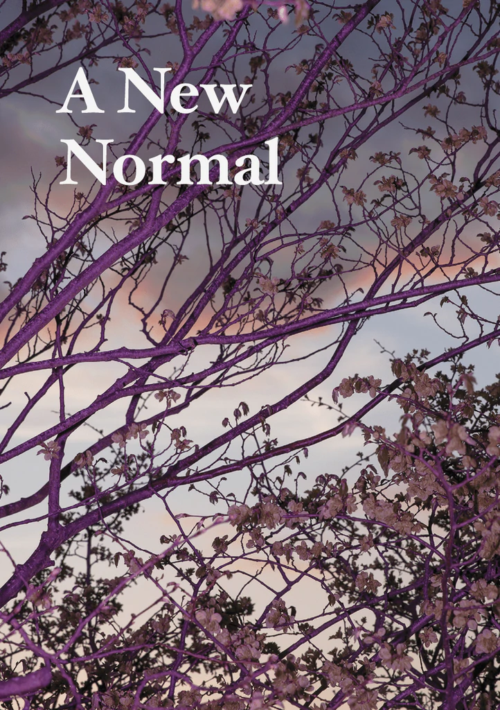 A New Normal Various Artists