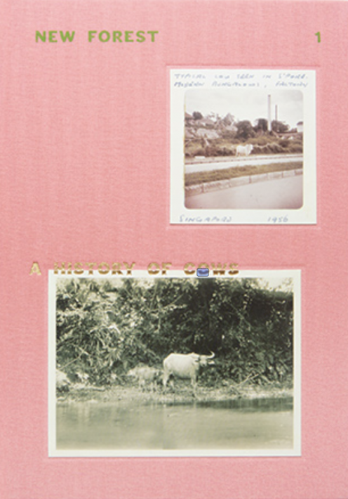 New Forest 1: A History Of Cows Robert Zhao Renhui