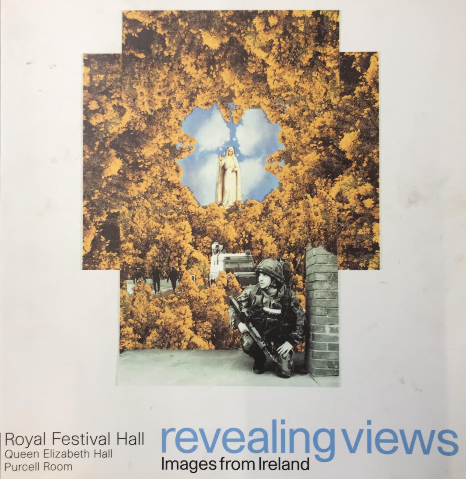 Revealing Views: Images from Ireland Various Artists