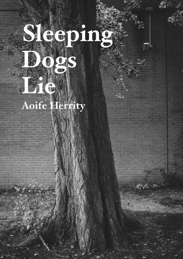 Sleeping Dogs Lie, Aoife Herrity