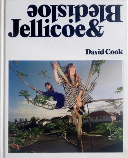 Jellicoe and Bledisloe David Cook