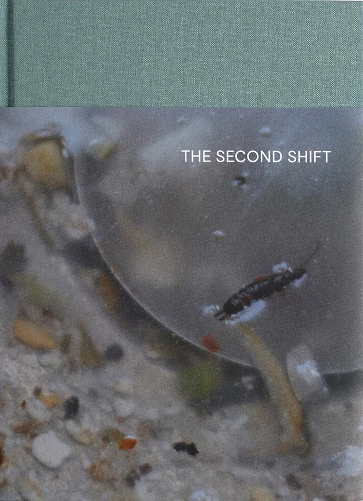 The Second Shift, Clare Gallagher