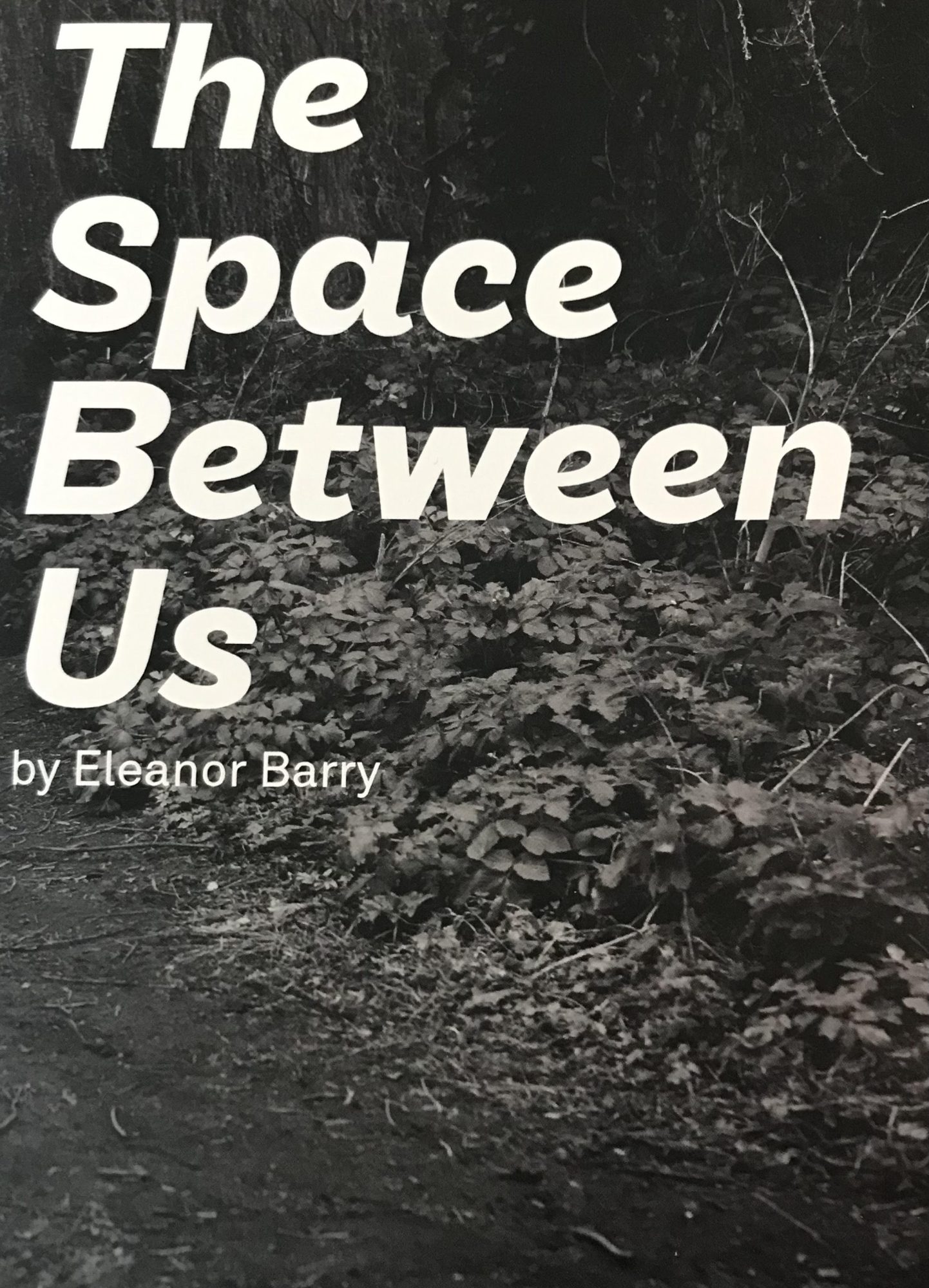 The Space Between Us, Eleanor Barry