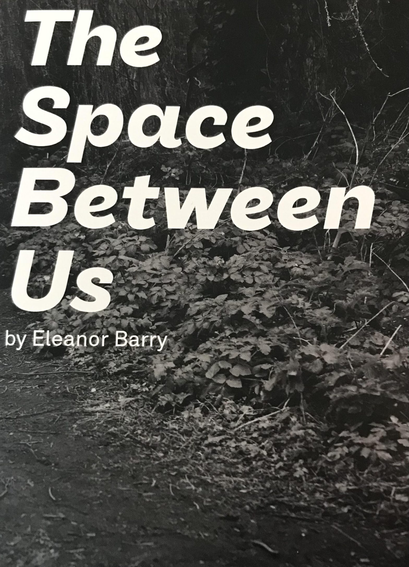 The Space Between Us Eleanor Barry