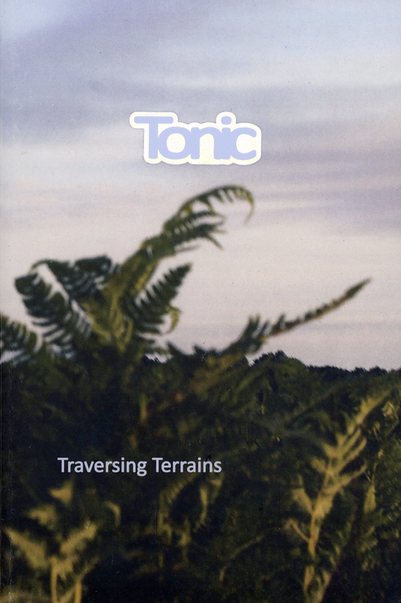 Traversing Terrains Various Artists