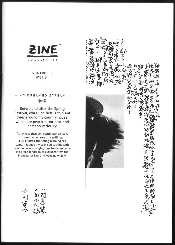 look inside Zine Collection N°8: My dreamed Stream