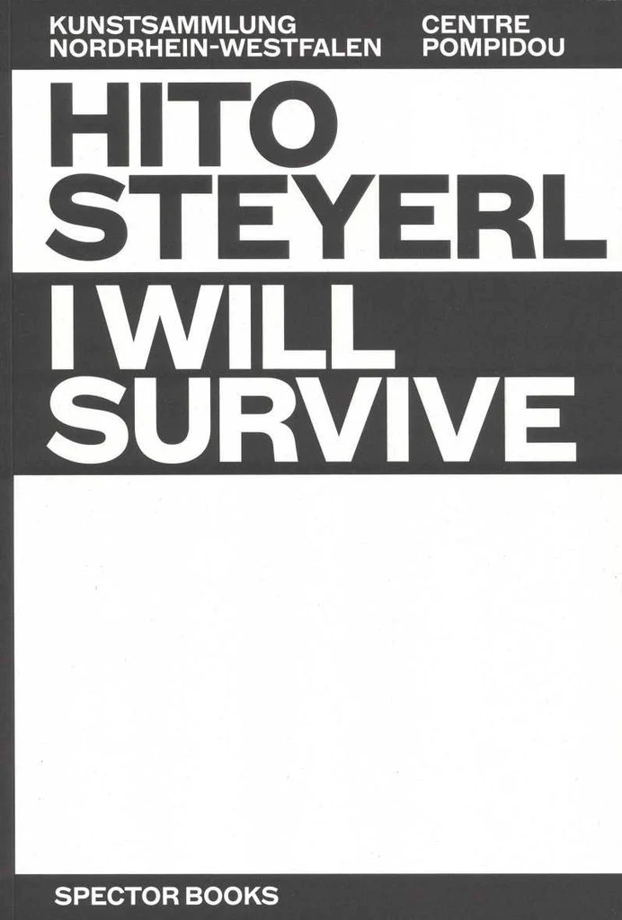 I Will Survive, Hito Steyerl