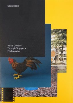 Seenthesis: Visual Literacy Through Singapore Photography Various Artists