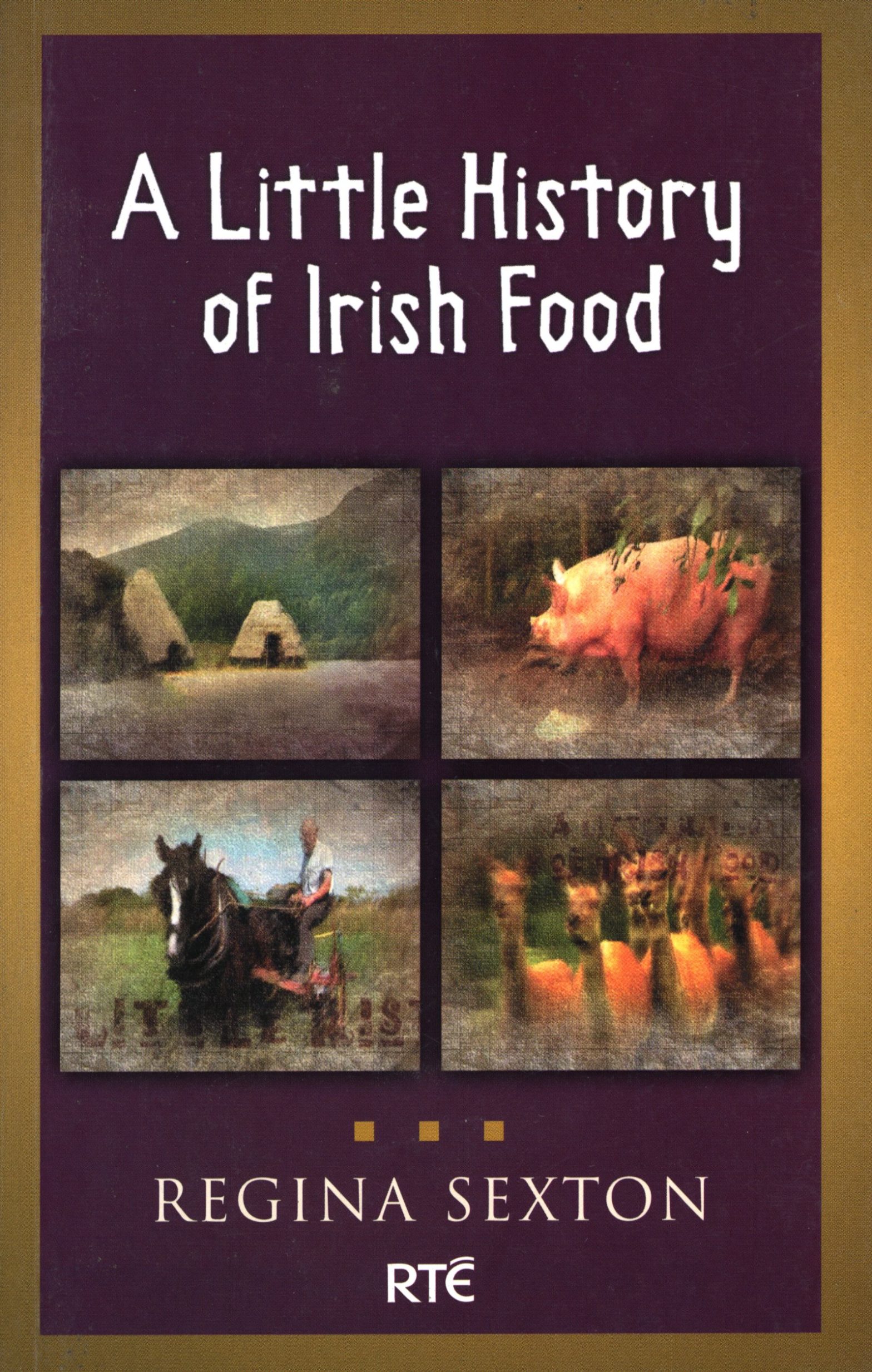 A Little History of Irish Food Regina Sexton