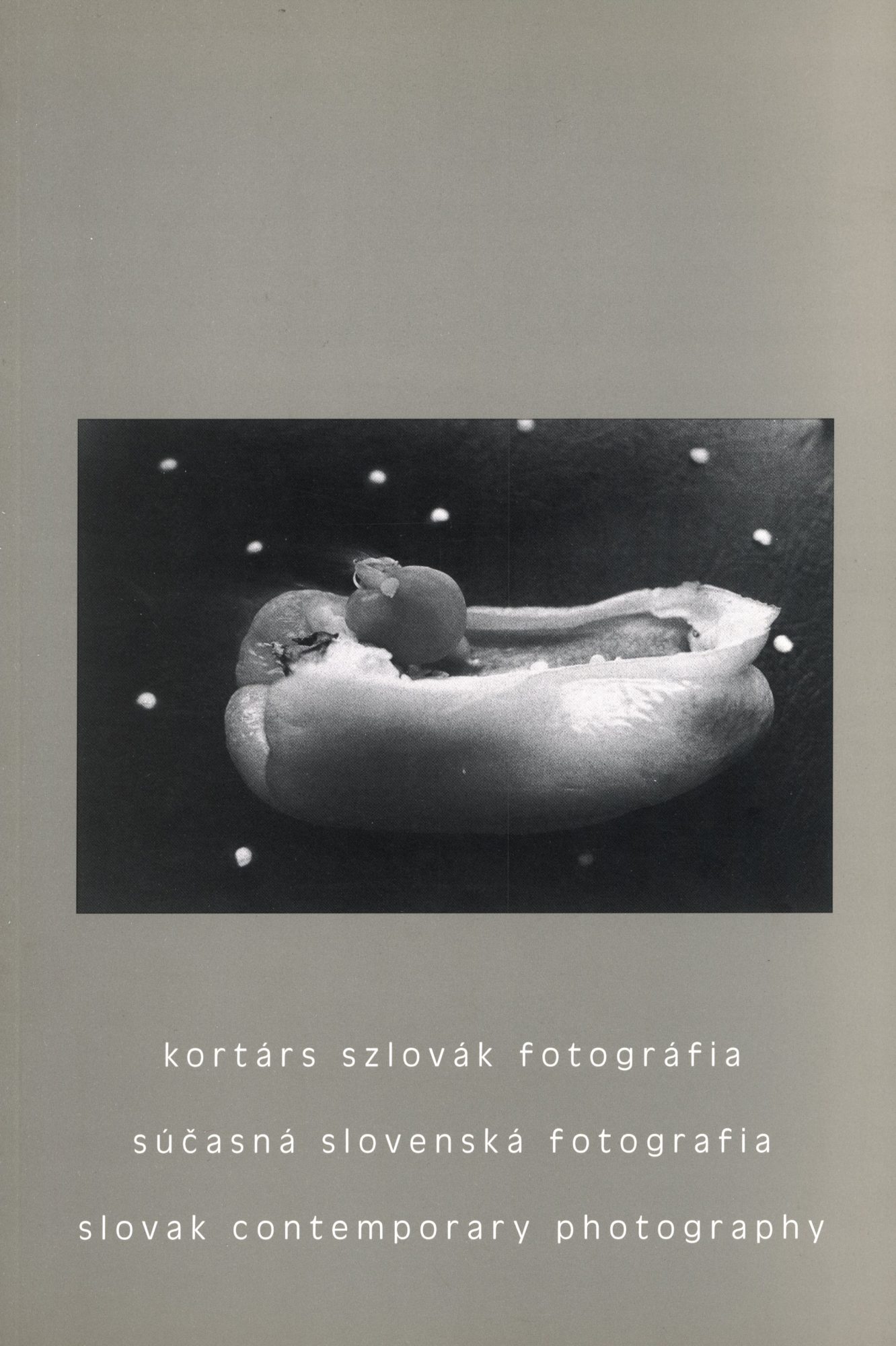 Kortárs Szlovák Fotográfia (Slovak Contemporary Photography) Various Artists