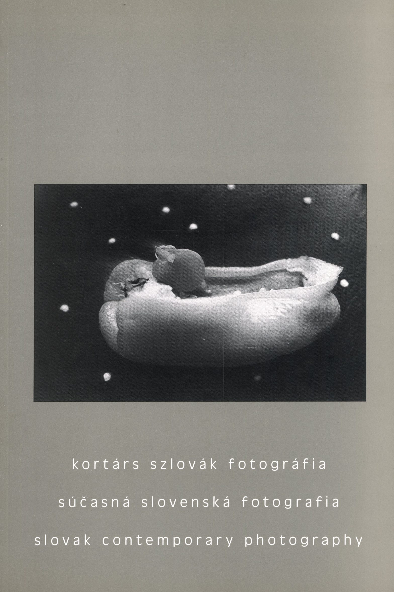 Kortárs Szlovák Fotográfia (Slovak Contemporary Photography) Various Artists