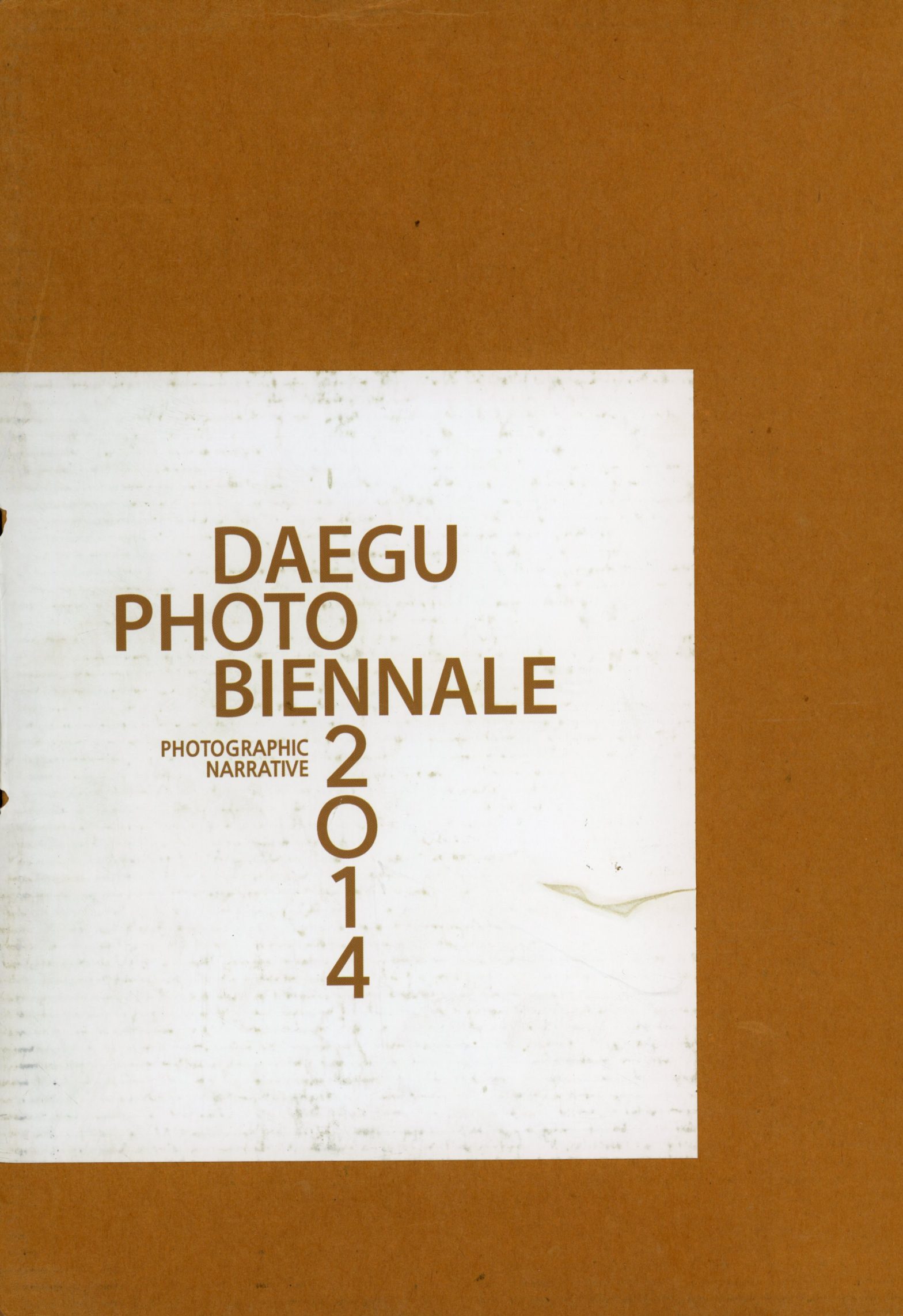 Photographic Narrative Daegu Photo Biennale 2014
