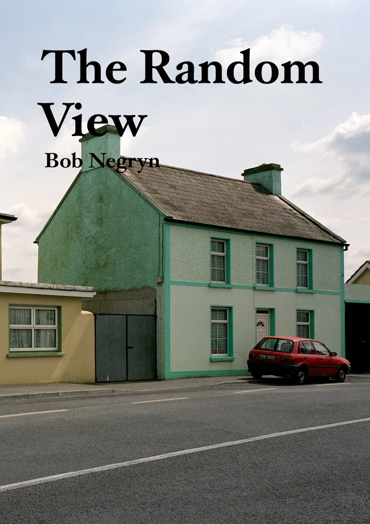 The Random View  Bob Negryn