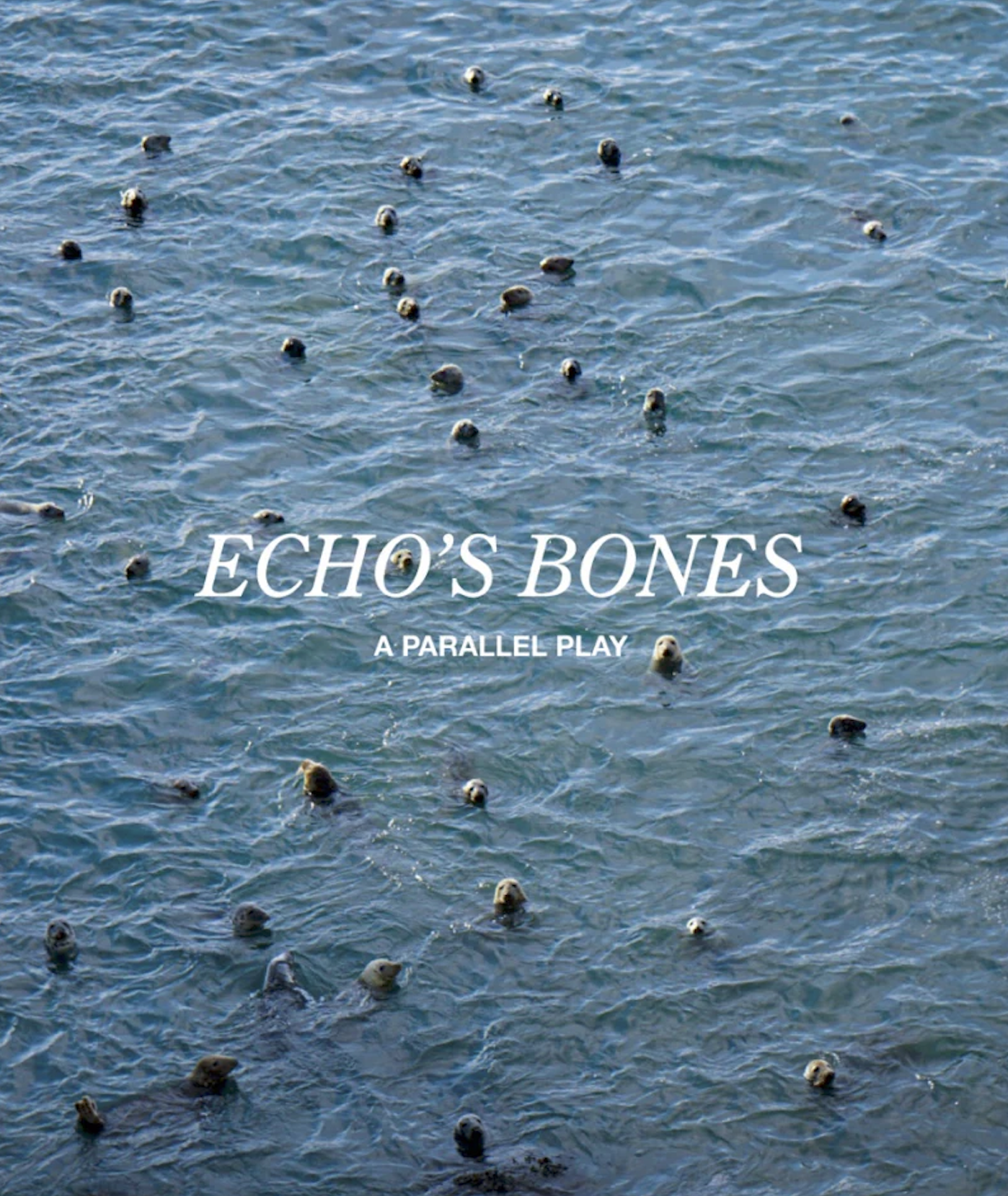 Echo's Bones: A Parallel Play, Various Artists