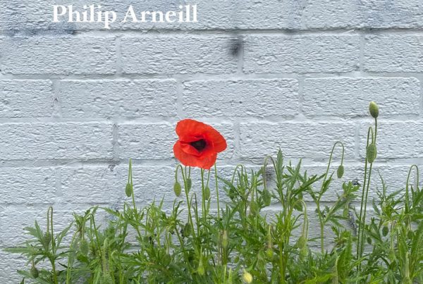 This is East Belfast Philip Arneill