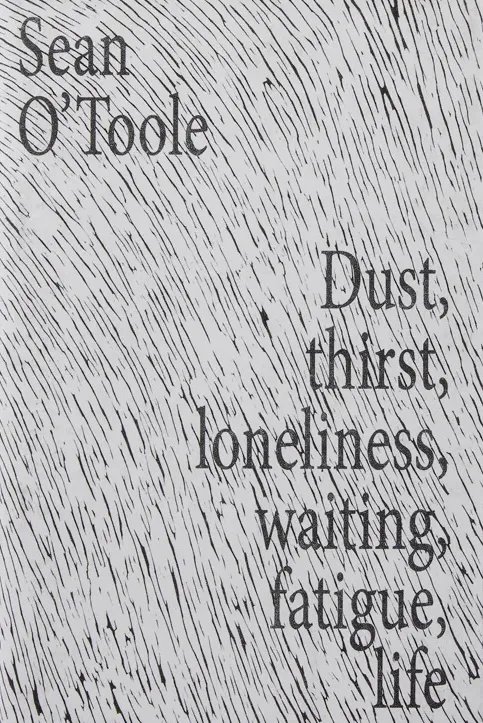 Dust, thirst, loneliness, waiting, fatigue, life Sean O’Toole